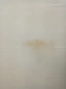 Rina777o online show from 01/27/25, 06:31