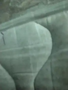 Snapshot of lm279 chatting on 02/19/25, 08:20 lm279 online show from 02/19/25, 08:20