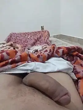 Snapshot of lm279 chatting on 02/27/25, 01:16 lm279 online show from 02/27/25, 01:16