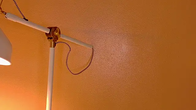 Snapshot of ParisFox_ chatting on 12/20/25, 01:12 ParisFox online show from 12/20/25, 01:12