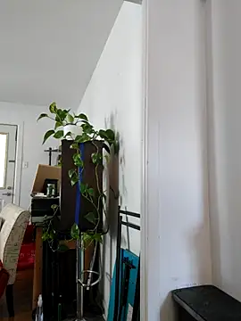 QcMisterv13 online show from 09/30/25, 02:22