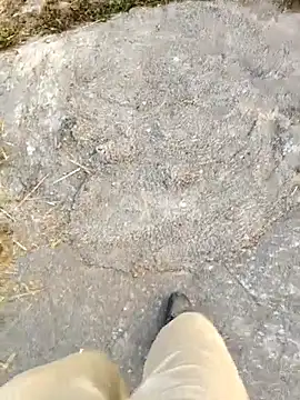 Ishan003 online show from 02/05/26, 01:32