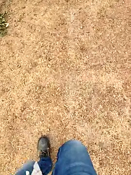 Ishan003 online show from 03/06/26, 03:03