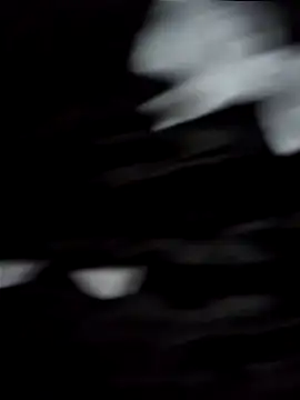 jhulyyy online show from 03/22/25, 08:59