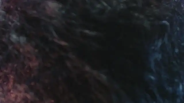 Sofiacowperx online show from 03/31/26, 12:38