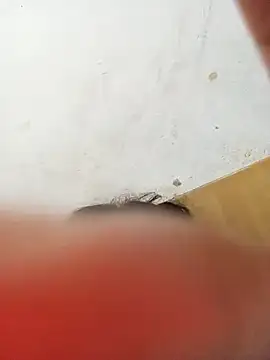 ambarlennoix online show from 01/12/25, 10:34