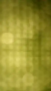 Sexybeer2005 online show from 12/07/24, 10:06