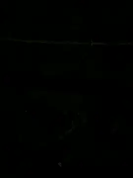 Snapshot of SnapIDRakesh4 chatting on 11/27/25, 08:22 SnapIDRakesh4 online show from 11/27/25, 08:22