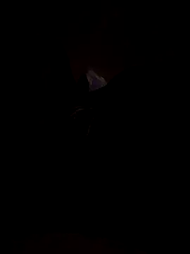 scientific4sex online show from 09/19/25, 05:46