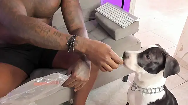 Snapshot of Dvid_Rullers chatting on 09/16/25, 12:50 Dvid Rullers online show from 09/16/25, 12:50