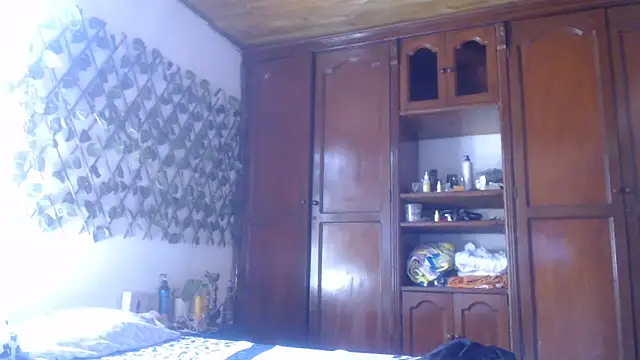 Snapshot of cougar_town chatting on 01/29/25, 04:52 cougar town online show from 01/29/25, 04:52