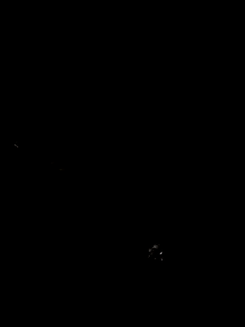 cindy damm online show from 04/24/26, 12:24