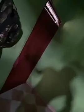 Alphadavid 23 online show from 02/26/25, 07:16