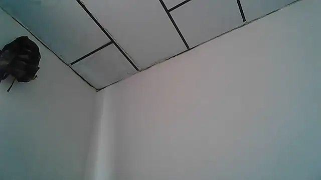 Alphadavid 23 online show from 04/30/26, 04:02