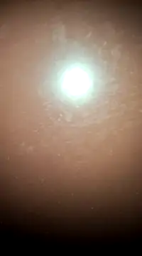 Snapshot of tall_nangu chatting on 02/21/25, 06:04 tall nangu online show from 02/21/25, 06:04