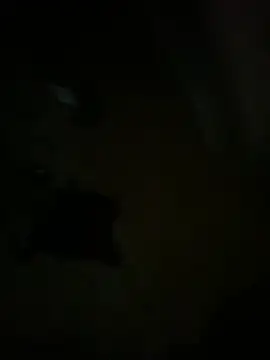 hardbigcock16 online show from 04/03/26, 06:17