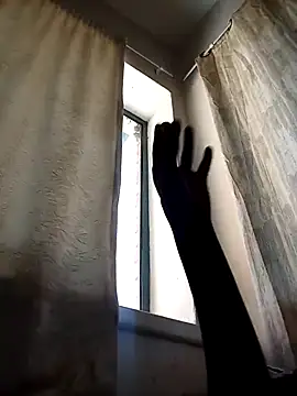 Cocowett online show from 10/10/25, 12:26