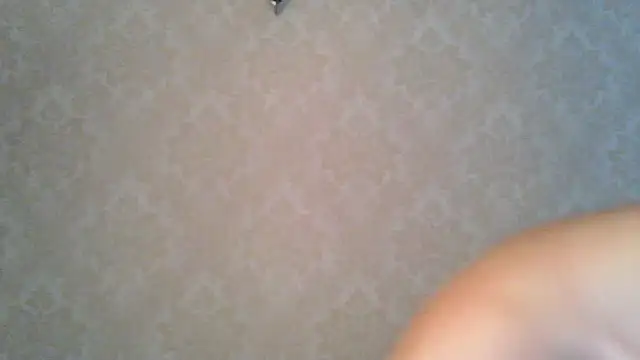 Kashtanka  online show from 10/27/25, 07:56