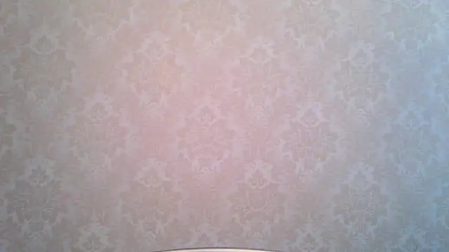 Snapshot of Kashtanka_ chatting on 11/19/25, 10:04 Kashtanka online show from 11/19/25, 10:04