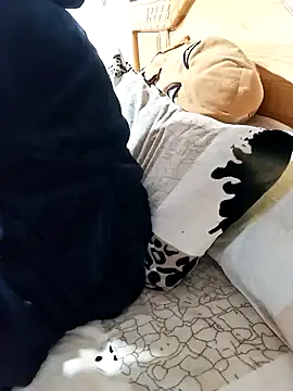 jijijoudia online show from 01/18/25, 11:43