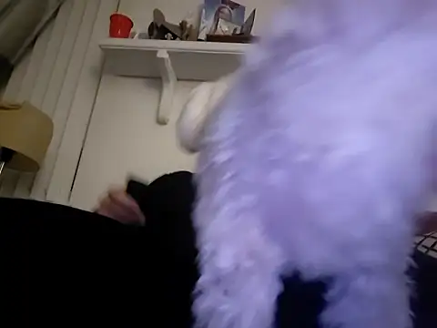 Hand69someguy online show from 01/10/26, 06:37