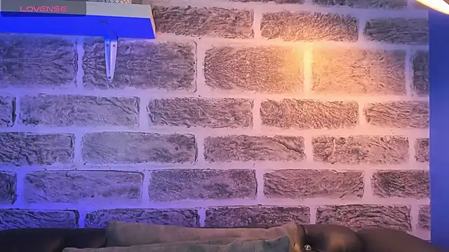 noah ricci online show from 10/14/25, 12:50