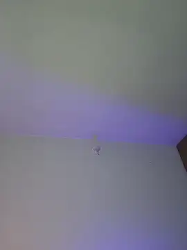 mich bittersweet online show from 04/17/26, 11:19