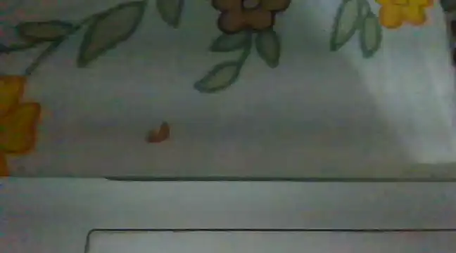 biggest lund  online show from 12/28/24, 12:45