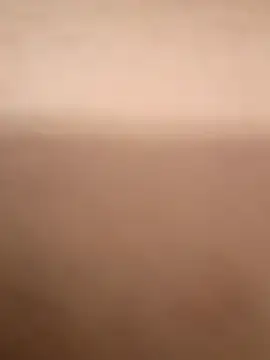 rayaarmando423736 online show from 11/19/25, 12:49