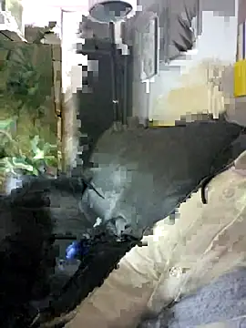 Snapshot of SweetMaddy888 chatting on 12/17/24, 06:31 SweetMaddy888 online show from 12/17/24, 06:31