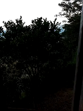 AuroraBon online show from 12/10/24, 11:22