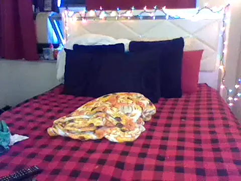 lachulalarubie online show from 01/12/25, 10:01