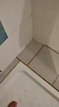 Ariete80s online show from 02/21/25, 03:32