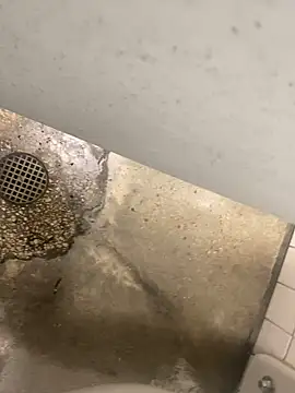 zeekBbc online show from 12/10/24, 08:38