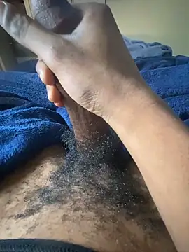 zeekBbc online show from 12/26/24, 09:47