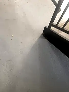 zeekBbc online show from 10/27/25, 02:21