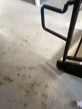 zeekBbc online show from 02/26/26, 09:25