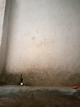 Hotty-queen online show from 10/11/25, 02:11