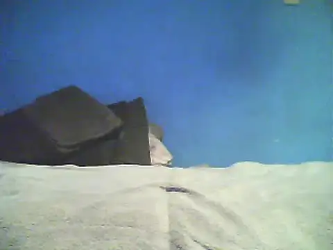 Vago745 online show from 12/02/24, 10:50