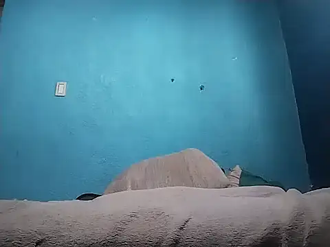 Vago745 online show from 04/10/26, 08:24