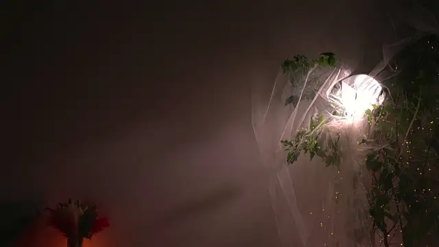 lorrie love story online show from 10/07/25, 08:55