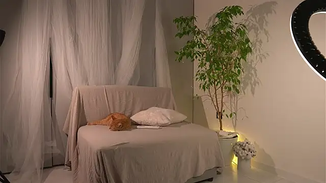 lorrie love story online show from 11/24/25, 11:21