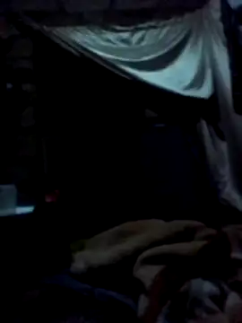 Snapshot of January256 chatting on 03/02/26, 10:38 January256 online show from 03/02/26, 10:38