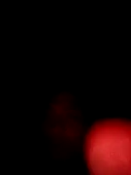 Snapshot of correcaminos2 chatting on 12/22/24, 10:06 correcaminos2 online show from 12/22/24, 10:06