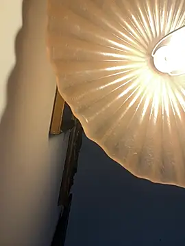 Snapshot of 4n4l1zz4m1 chatting on 02/05/26, 03:27 4n4l1zz4m1 online show from 02/05/26, 03:27