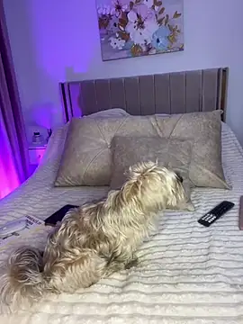 GraceCarther online show from 04/08/26, 08:53