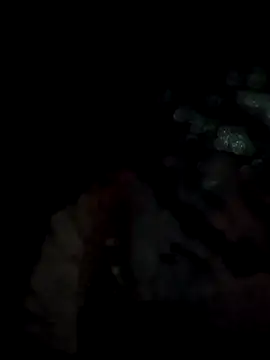 lit702 online show from 04/06/26, 08:54