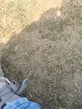 Gururonny07 online show from 02/19/25, 07:28