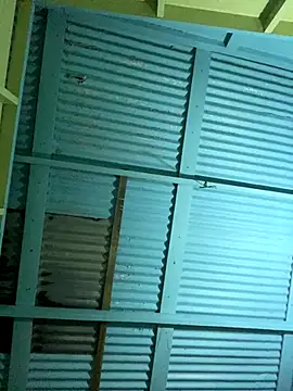 Snapshot of islandvybee55 chatting on 12/16/25, 05:01 islandvybee55 online show from 12/16/25, 05:01