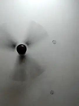 cutiecatty21 online show from 10/23/25, 10:36